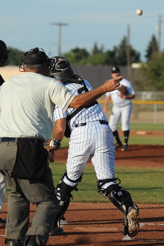 Seals_2019-08-21 (380).JPG - (c)2010 DeVetter